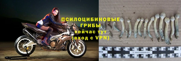 дмт Иннополис
