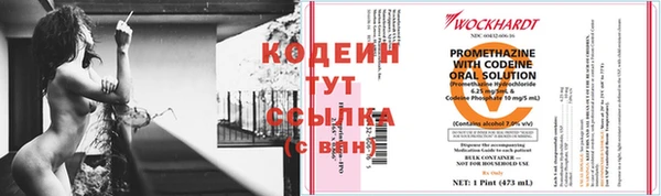 дмт Иннополис