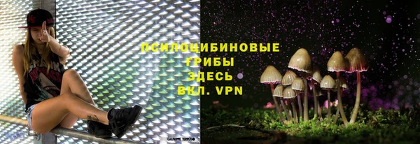 крисы Инта