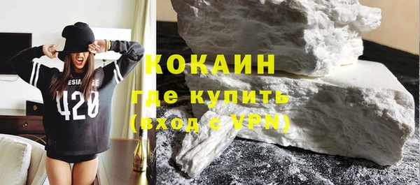 крисы Инта