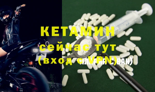 крисы Инта