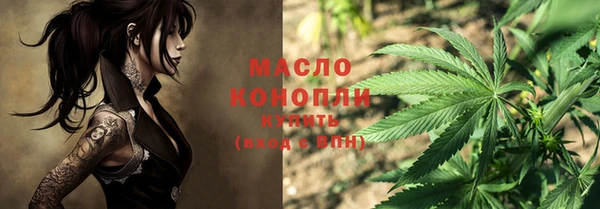 крисы Инта