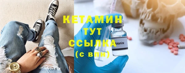 крисы Инта