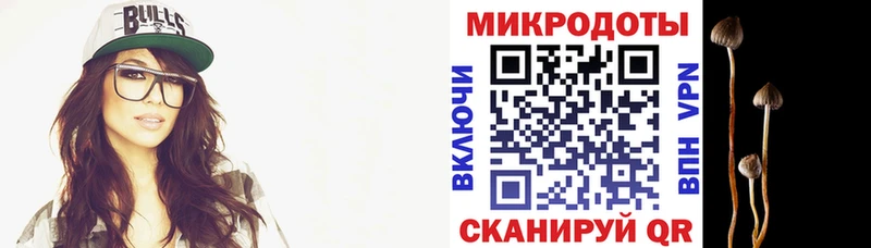 Псилоцибиновые грибы Psilocybe  Купить закладки  Калуга 