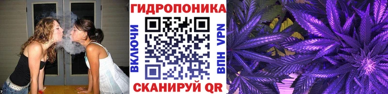 Бошки Шишки планчик  Купить закладки  Калуга 